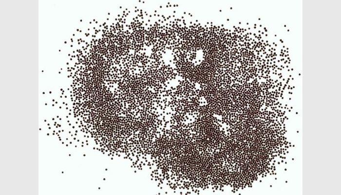 SC-A自動(dòng)考種及千粒重儀,考種儀,自動(dòng)考種儀,自動(dòng)考種分析儀