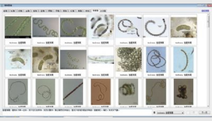 AlgaeC型浮游生物(藻類、浮游動(dòng)物)智能鑒定計(jì)數(shù)儀