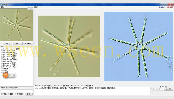 AlgaeC型浮游生物智能鑒定計數(shù)儀,藻類分析儀,藻類計數(shù)儀