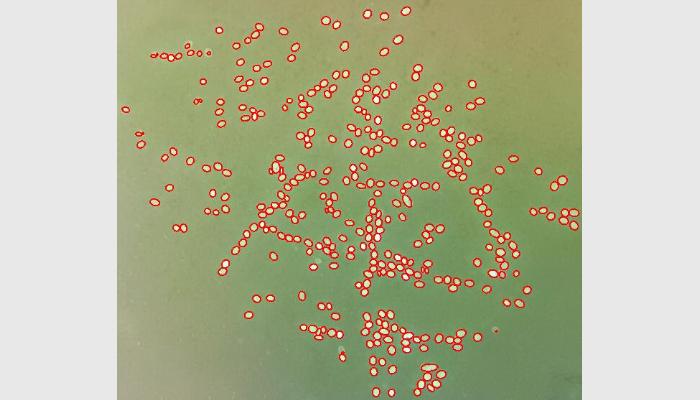 SC-B2型多功能魚卵貝苗自動計數(shù)儀