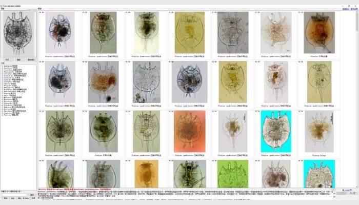 AlgaeC型浮游生物智能鑒定計數(shù)儀,藻類分析儀,藻類計數(shù)儀