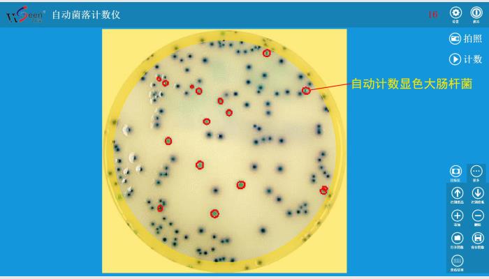 HiCC-B1 automatic colony counter,自動菌落計數(shù)儀,菌落計數(shù)器